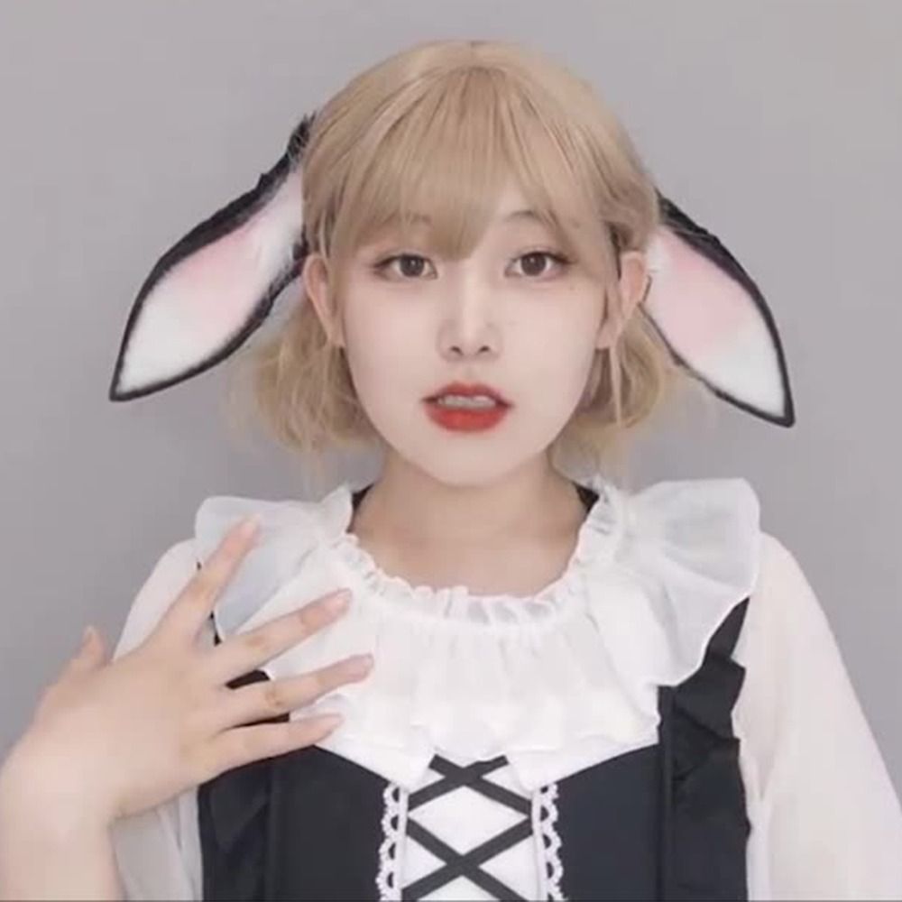 Anime Bunny Ears Dropped Ear R - Anime Cosplay Girl Photo review and price